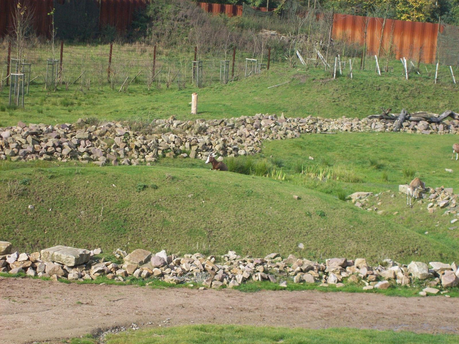 Zoom 18.10.2008-108.jpg